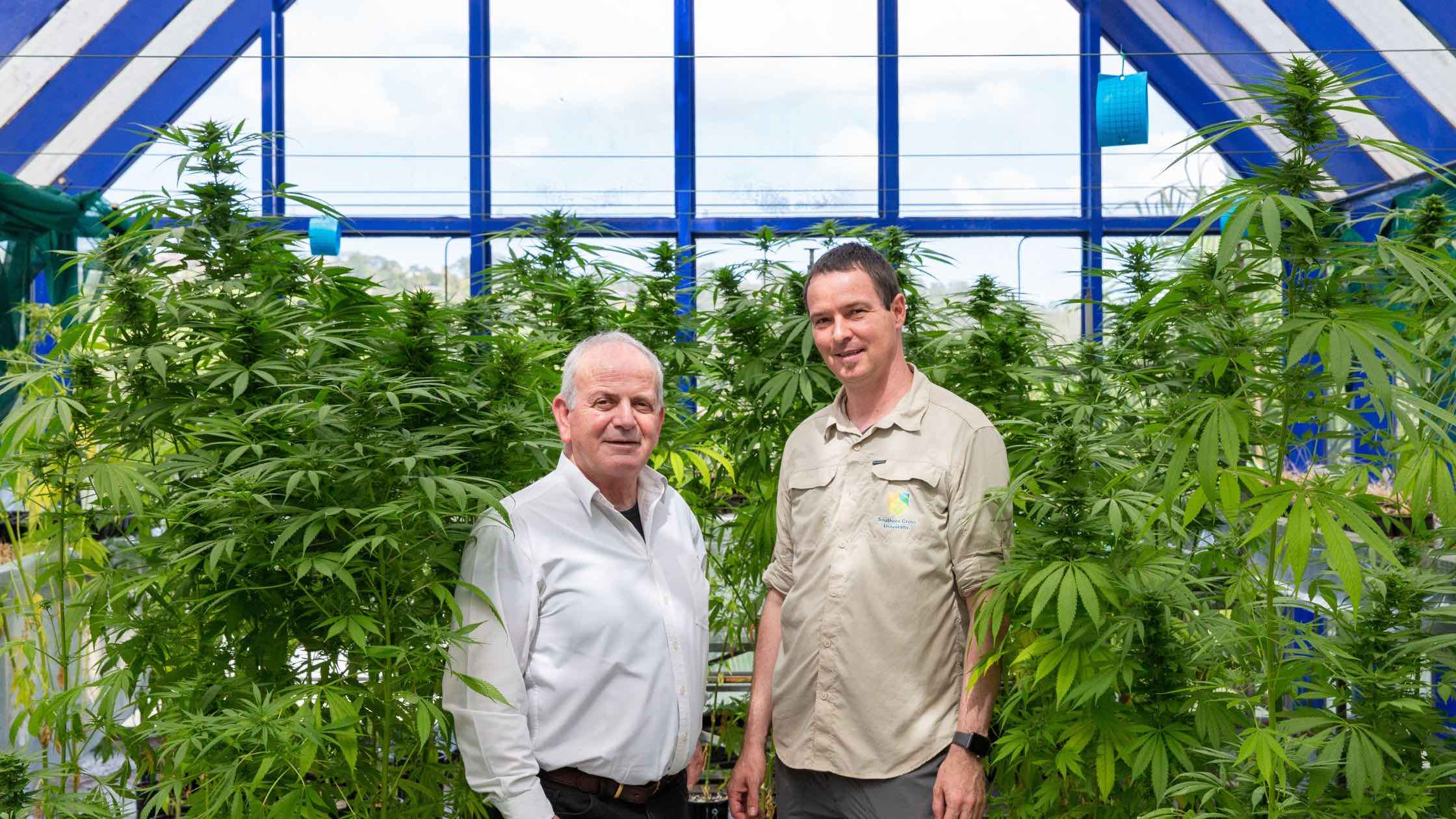 Andrew Kavasilas Founder of Hempscape